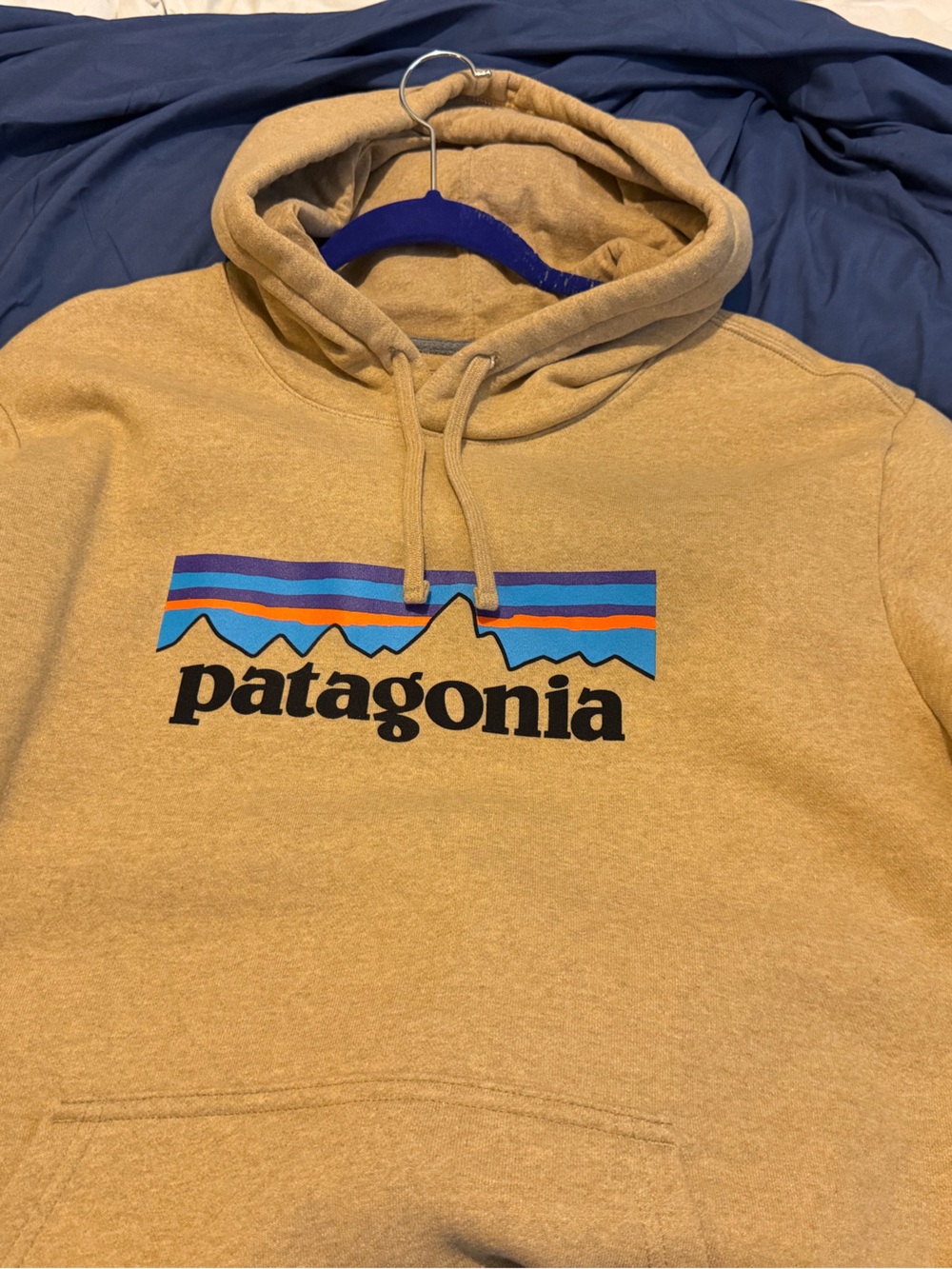 Patagonia Men's Hoodie in Tan with Blue & Orange Logo